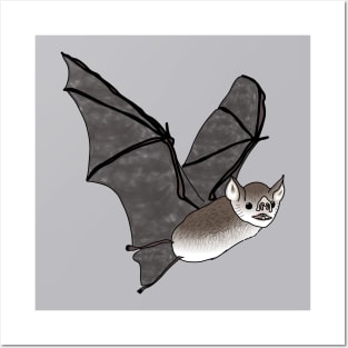 Vampire bat animal Posters and Art